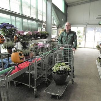 rei Pflanzenhof Corbelin in Radbruch zwischen Winsen und Lüneburg 